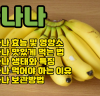 바나나 효능 I 바나나 생태와 특징 I 바나나 먹어야 하는 이유